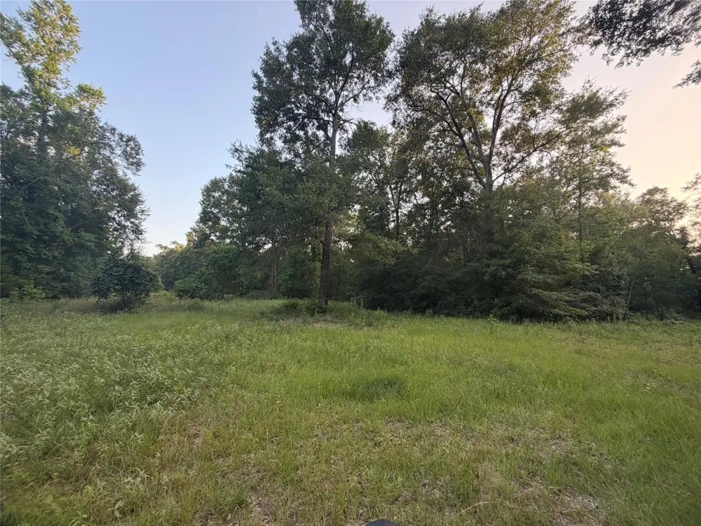 9846 Post Oak Cemetery Road Montgomery, TX 77356