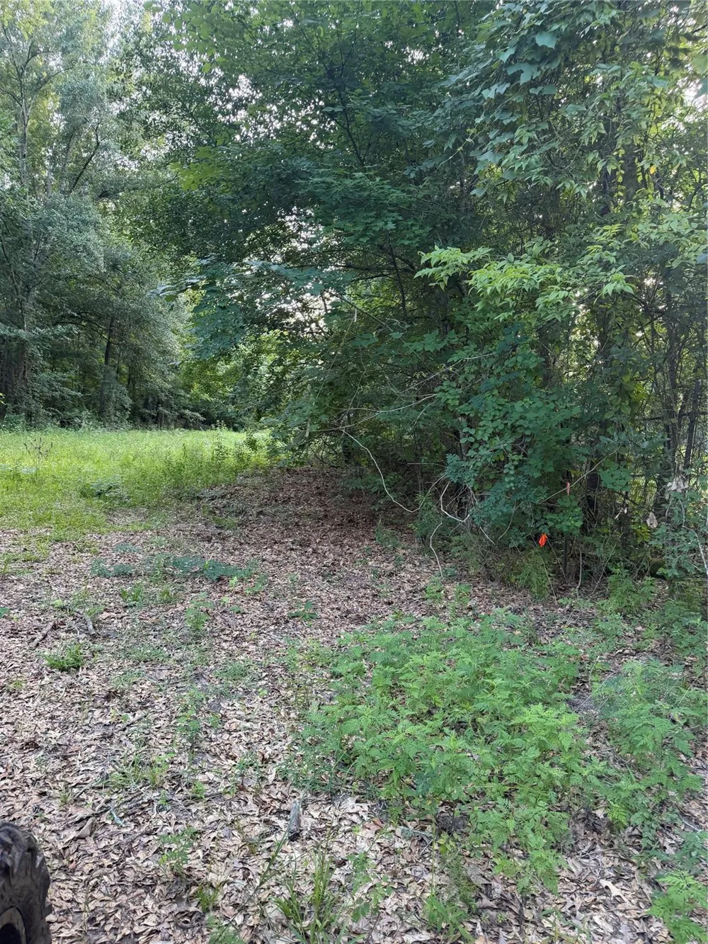 9846 Post Oak Cemetery Road Montgomery, TX 77356