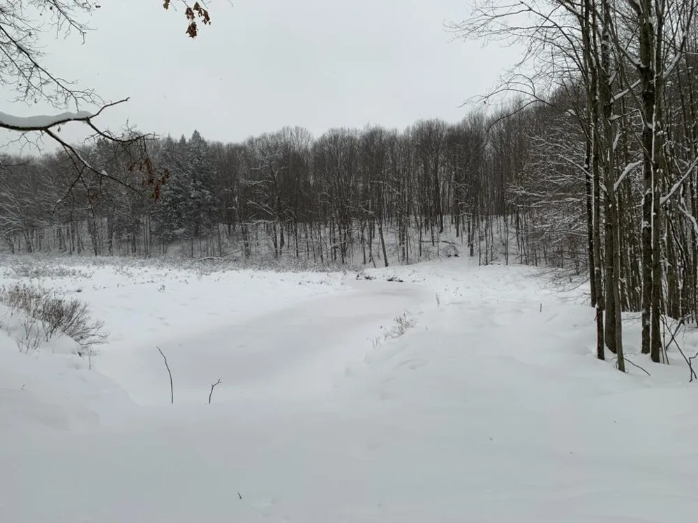 9557 E Anthony Road Branch, MI 49402