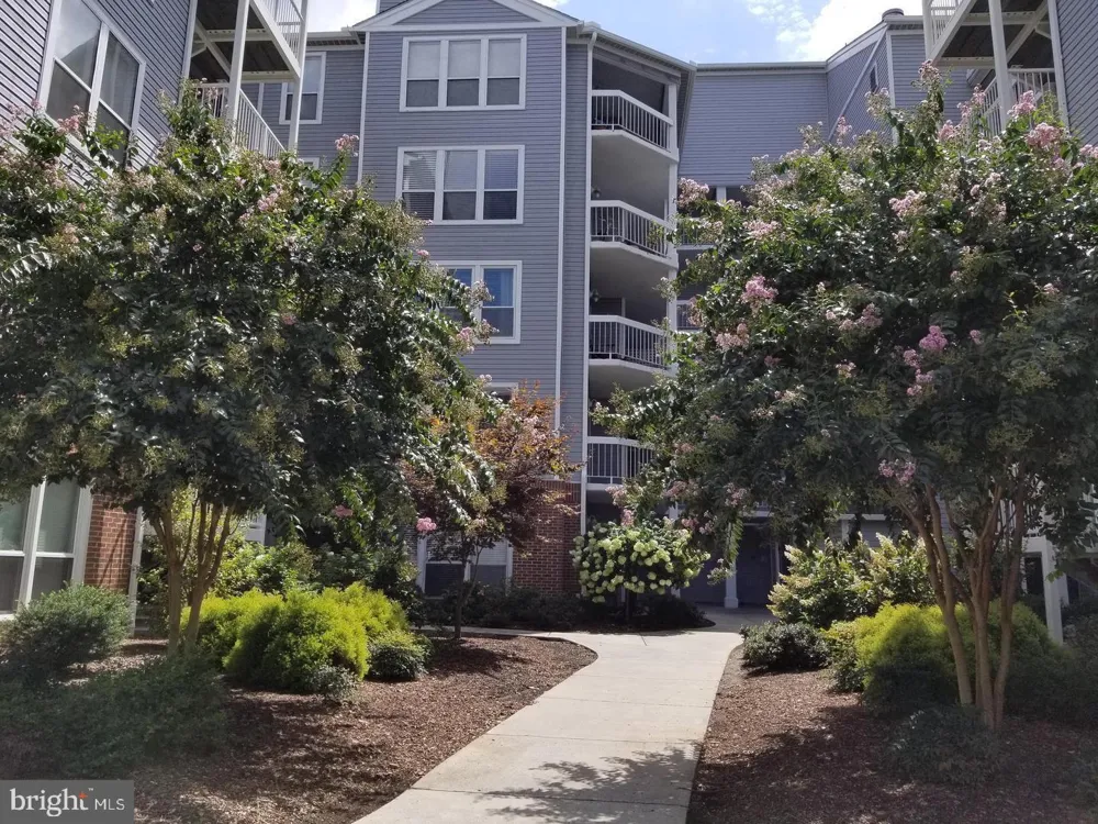 3178 SUMMIT SQUARE DRIVE #3-B12 Oakton, VA 22124