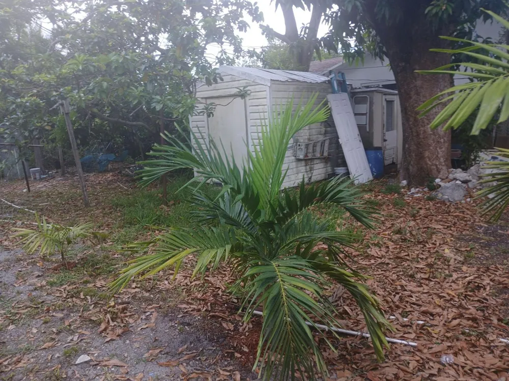 330 SW 14TH STREET Dania Beach, FL 33004