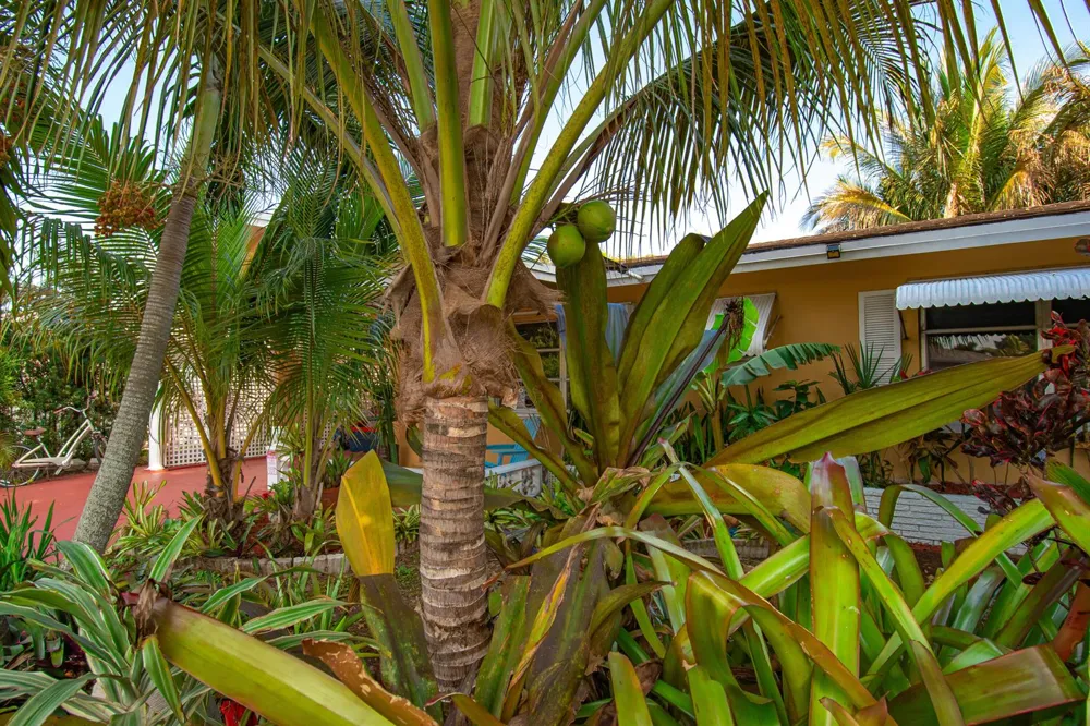 5704 NW 47th Lane Tamarac, FL 33319