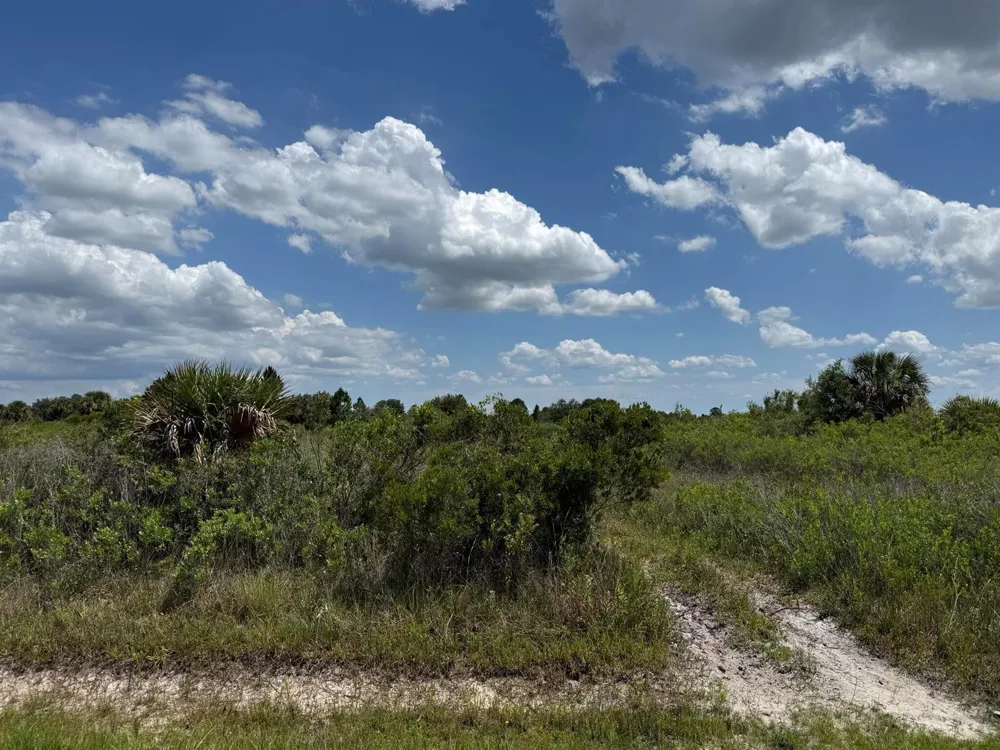 16162 NW 290TH STREET Okeechobee, FL 34972
