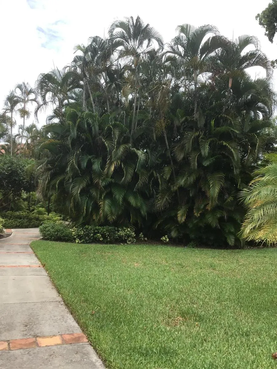 1743 Village Boulevard #304 West Palm Beach, FL 33409