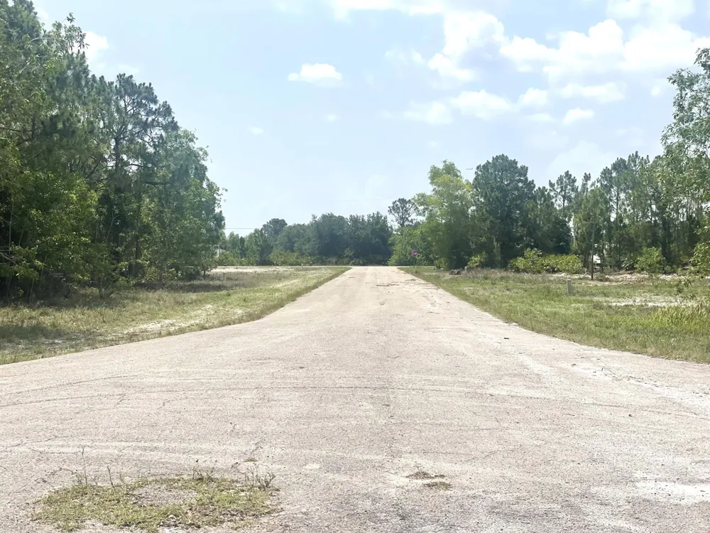 731 JOFFRE PLACE Lehigh Acres, FL 33936