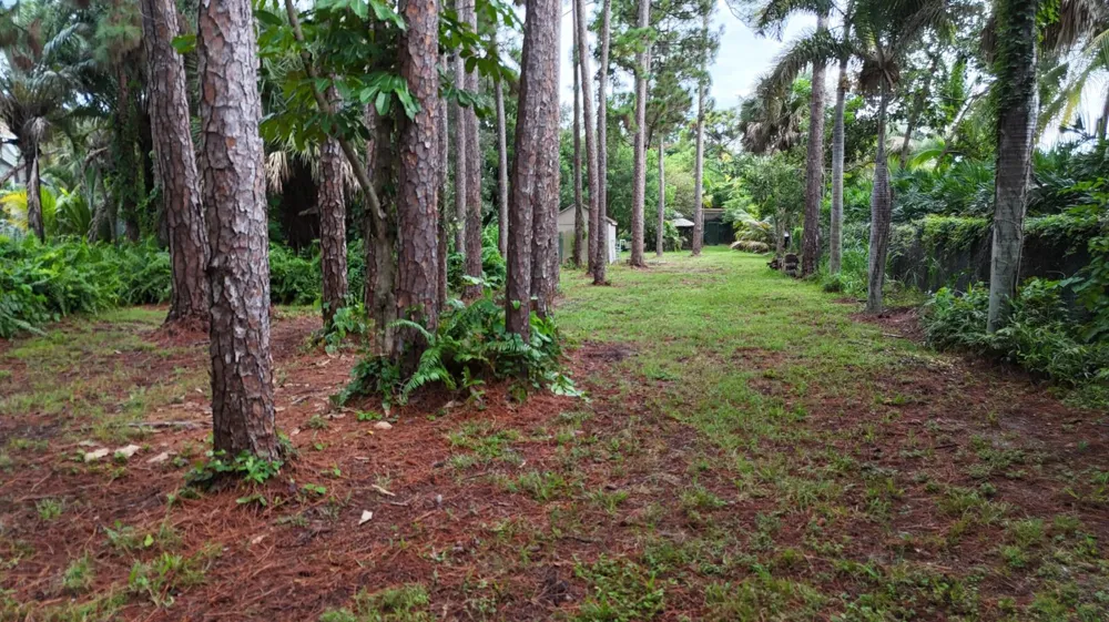 4786 Ridgewood Road E Boynton Beach, FL 33436