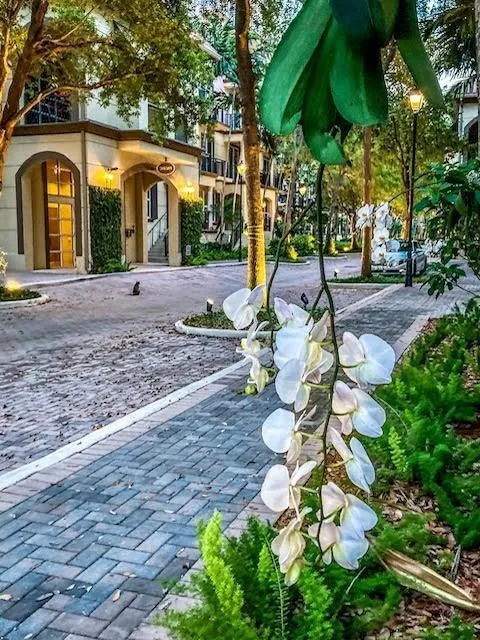 2631 NE 14TH AVENUE #316 Wilton Manors, FL 33334