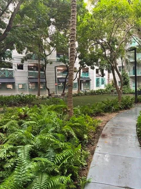 6001 SW 70th St #322 South Miami, FL 33143