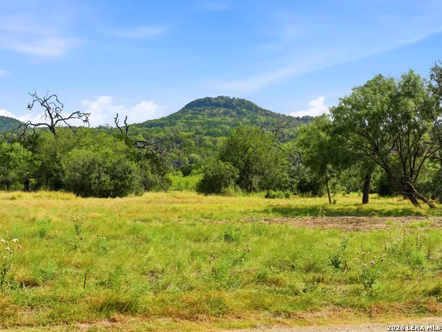 14156 STATE HIGHWAY 16 S Pipe Creek, TX 78063