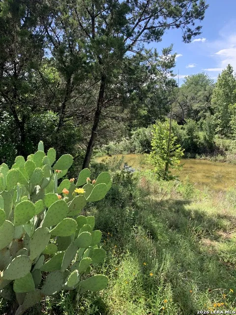 14156 STATE HIGHWAY 16 S Pipe Creek, TX 78063