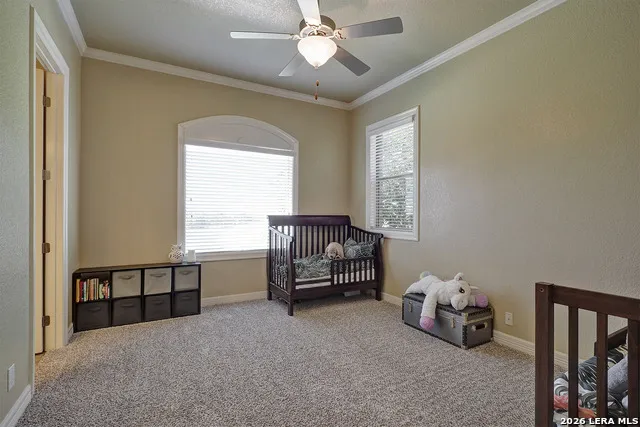 2629 Camel New Braunfels, TX 78132