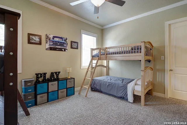 2629 Camel New Braunfels, TX 78132