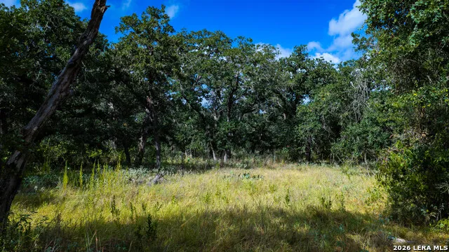 5476 County Road 427 Stockdale, TX 78160