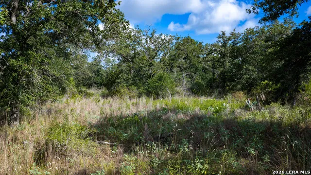 5476 County Road 427 Stockdale, TX 78160