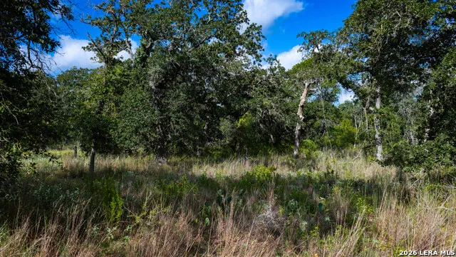 5476 County Road 427 Stockdale, TX 78160