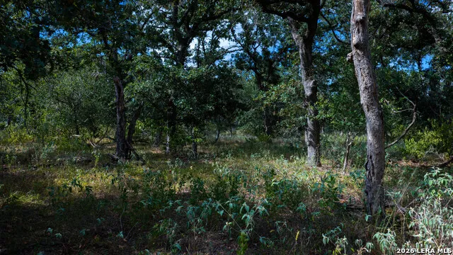 5476 County Road 427 Stockdale, TX 78160