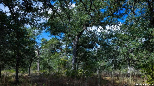 5476 County Road 427 Stockdale, TX 78160