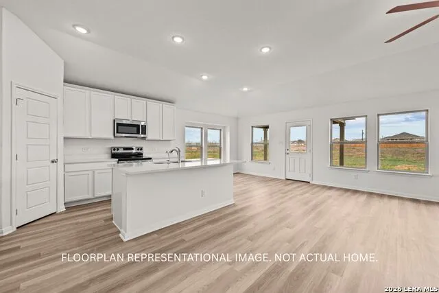 17512 Bigtooth Aspen Drive Elmendorf, TX 78112