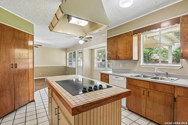 1641 DRIFTWOOD DR Seguin, TX 78155