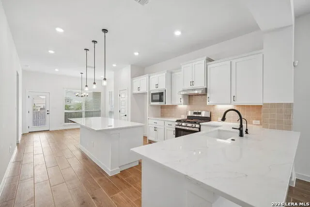 260 ALPINE LKS New Braunfels, TX 78130