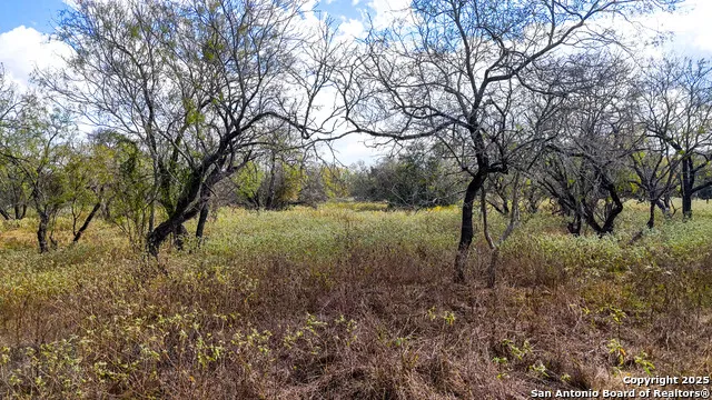 195 Cheyenne Kingsbury, TX 78638