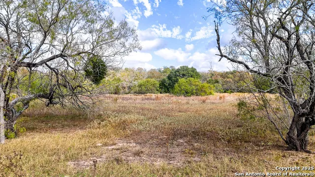 195 Cheyenne Kingsbury, TX 78638