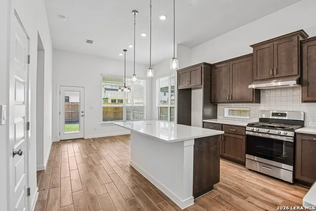 253 ALPINE LKS New Braunfels, TX 78130