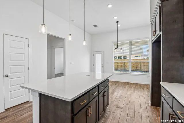 253 ALPINE LKS New Braunfels, TX 78130