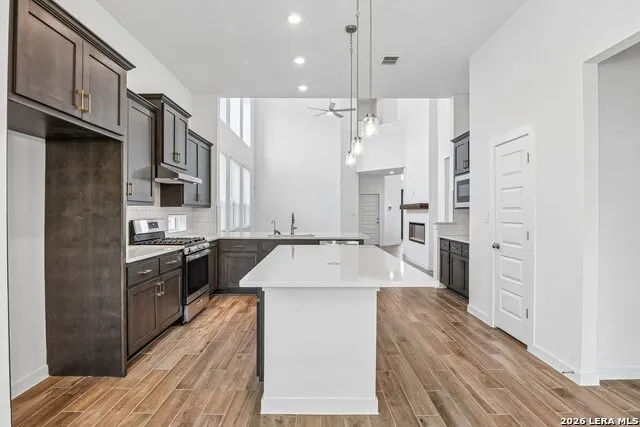 253 ALPINE LKS New Braunfels, TX 78130