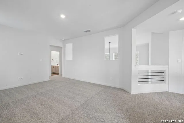 228 BODENSEE PL New Braunfels, TX 78130