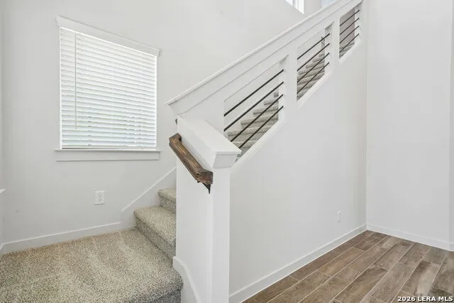 228 BODENSEE PL New Braunfels, TX 78130