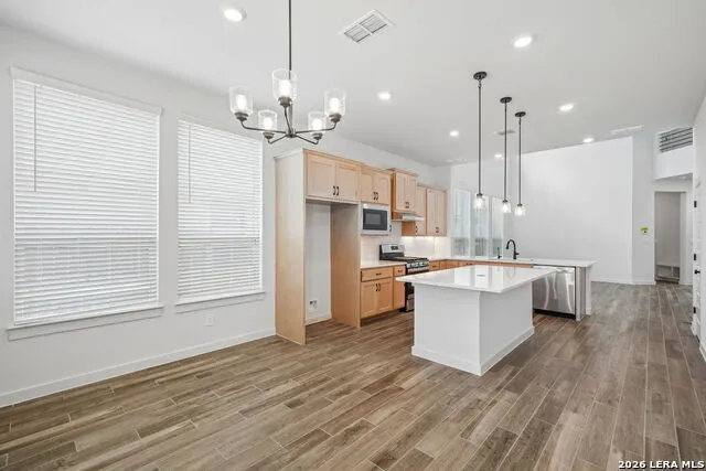 228 BODENSEE PL New Braunfels, TX 78130