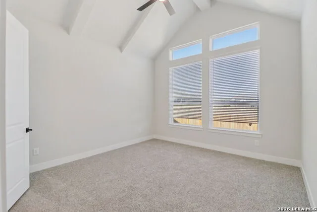 534 Canyon Live Oak Seguin, TX 78155