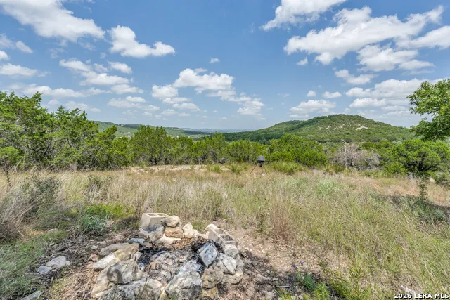 421 Armadillo Trail Dr E Comfort, TX 78013