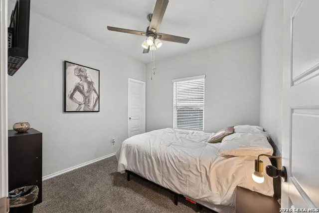 7334 BRAES COR San Antonio, TX 78244
