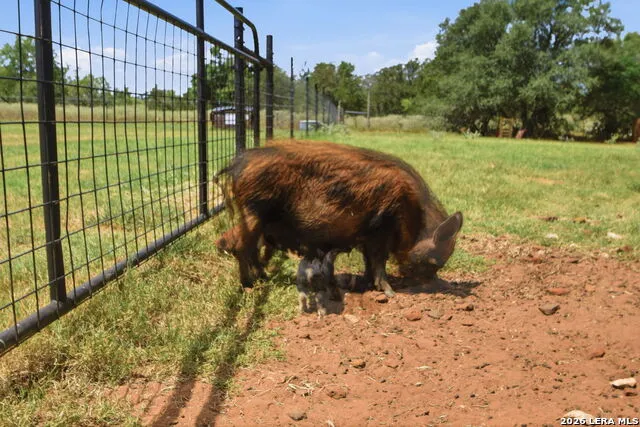 1754 County Road 467 Stockdale, TX 78160