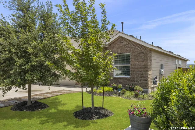 31650 Acacia Vista Bulverde, TX 78163