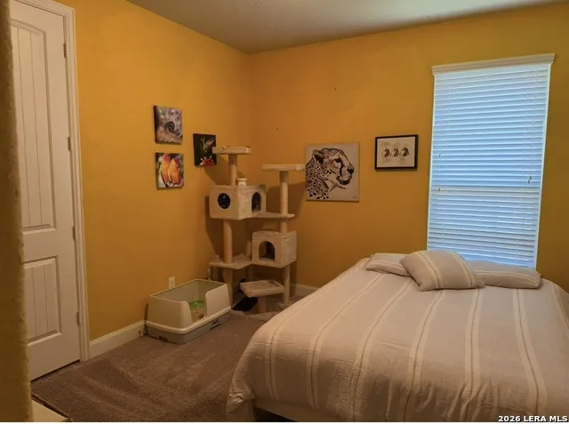 32212 Tamarind BND Bulverde, TX 78163