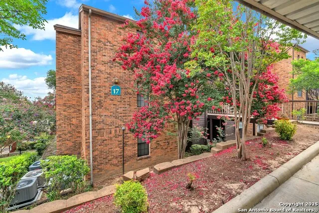 4212 Medical #1705 San Antonio, TX 78229