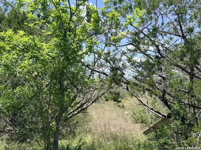 4807 COUNTY ROAD 429 Uvalde, TX 78801