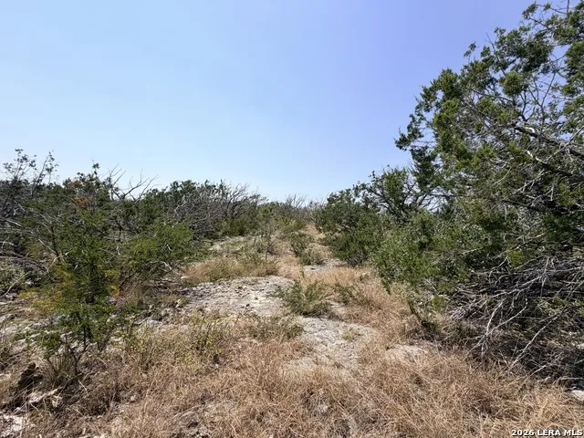 4807 COUNTY ROAD 429 Uvalde, TX 78801