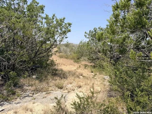 4807 COUNTY ROAD 429 Uvalde, TX 78801