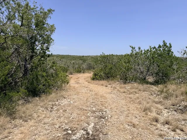 4807 COUNTY ROAD 429 Uvalde, TX 78801