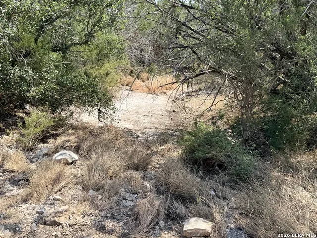 4807 COUNTY ROAD 429 Uvalde, TX 78801