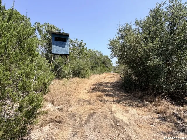 4807 COUNTY ROAD 429 Uvalde, TX 78801