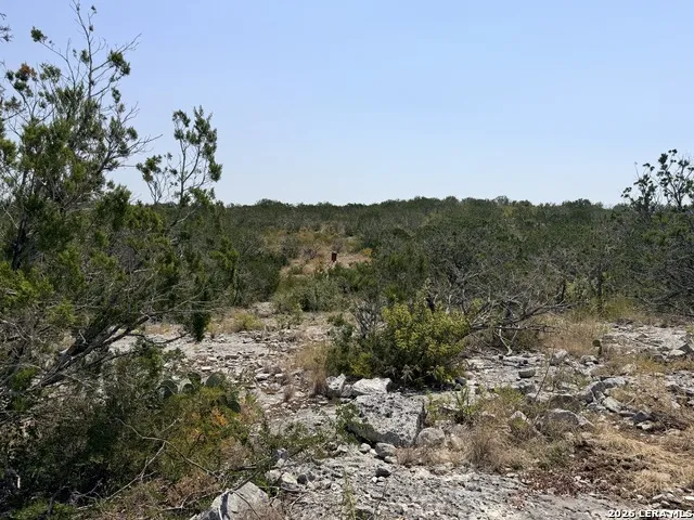 4807 COUNTY ROAD 429 Uvalde, TX 78801