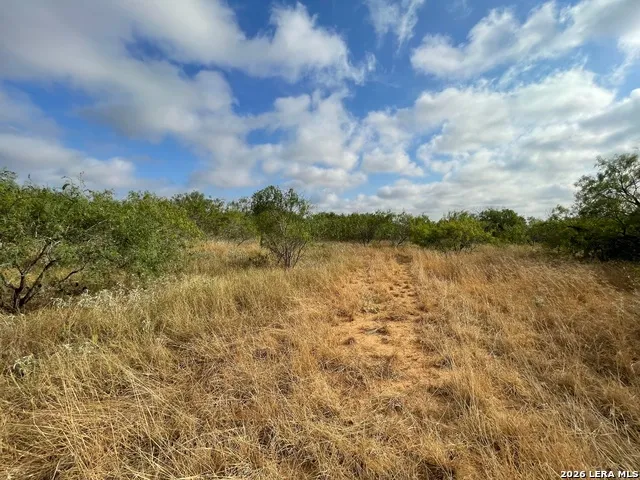 3 ACRES TBD CR 118 Floresville, TX 78114