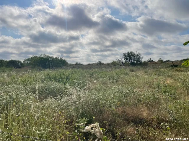 3 ACRES TBD CR 118 Floresville, TX 78114