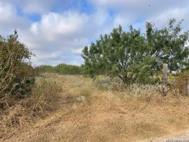 3 ACRES TBD CR 118 Floresville, TX 78114