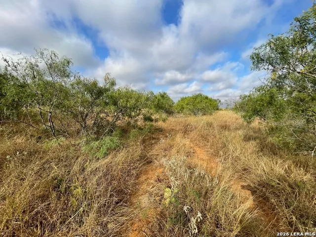 3 ACRES TBD CR 118 Floresville, TX 78114